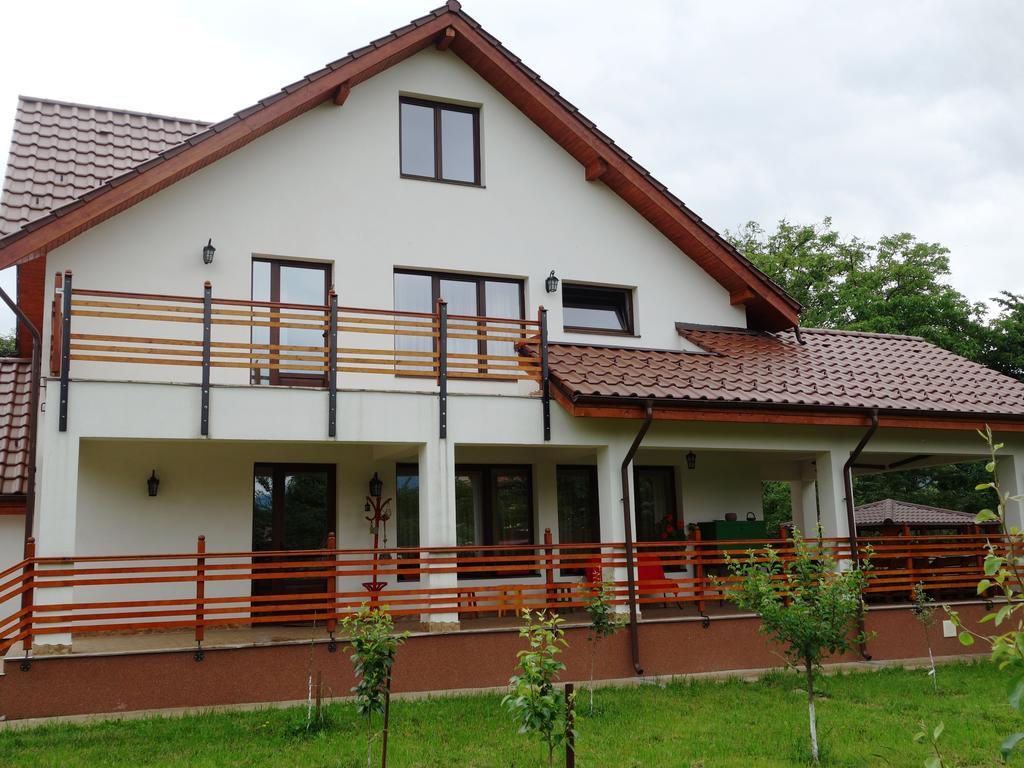 Pensiunea Tania-Nora Alexandru cel Bun Exterior foto