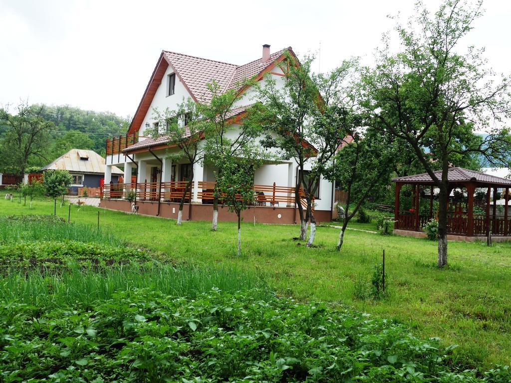 Pensiunea Tania-Nora Alexandru cel Bun Exterior foto