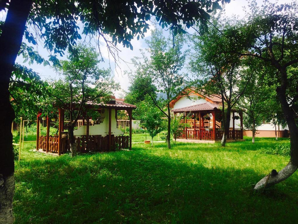 Pensiunea Tania-Nora Alexandru cel Bun Exterior foto